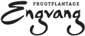 Engvang Frugtplantage Logo